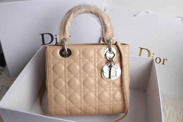 Dior 專櫃熱銷款小型手提包